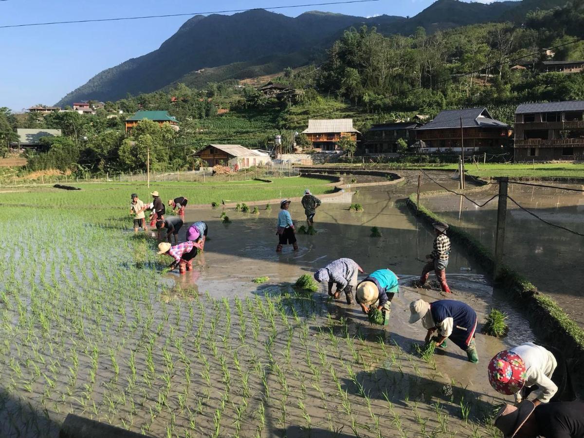 Little Ta Van Homestay Sa Pa Eksteriør bilde
