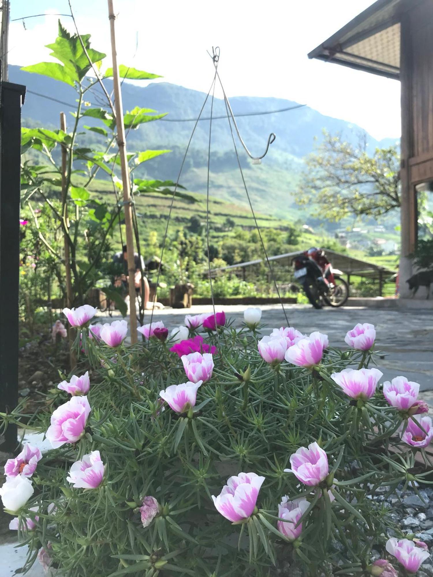 Little Ta Van Homestay Sa Pa Eksteriør bilde